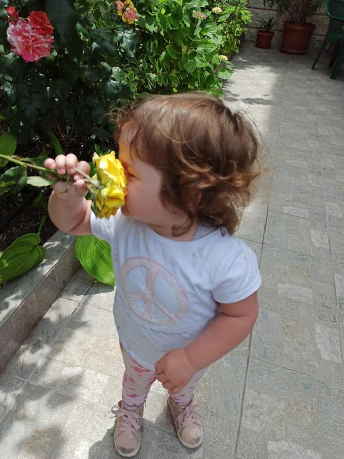 Guest House ,, Ekaterina" Misivri Dış mekan fotoğraf